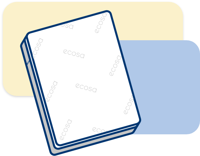 1st Generation Ecosa Mattress