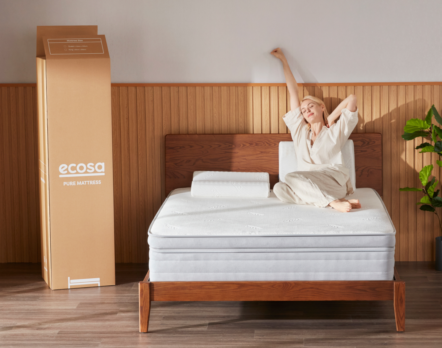 choose ecosa v2