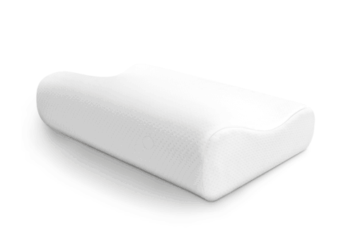 ecosa pillow