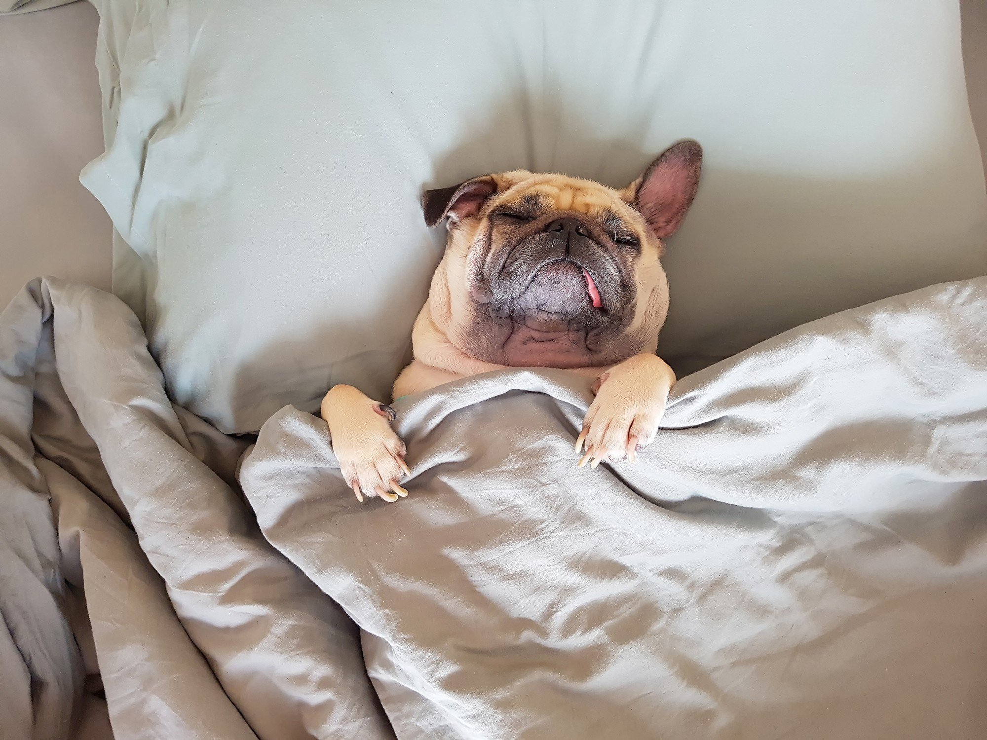 The Ridiculous Things We Say in Our Sleep and What They Mean The Ridiculous Things We Say in Our Sleep and What They Mean