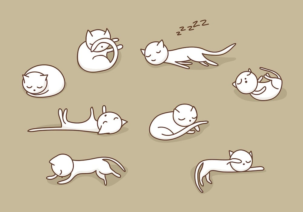 The best and the worst sleeping position for your health The best and the worst sleeping position for your health